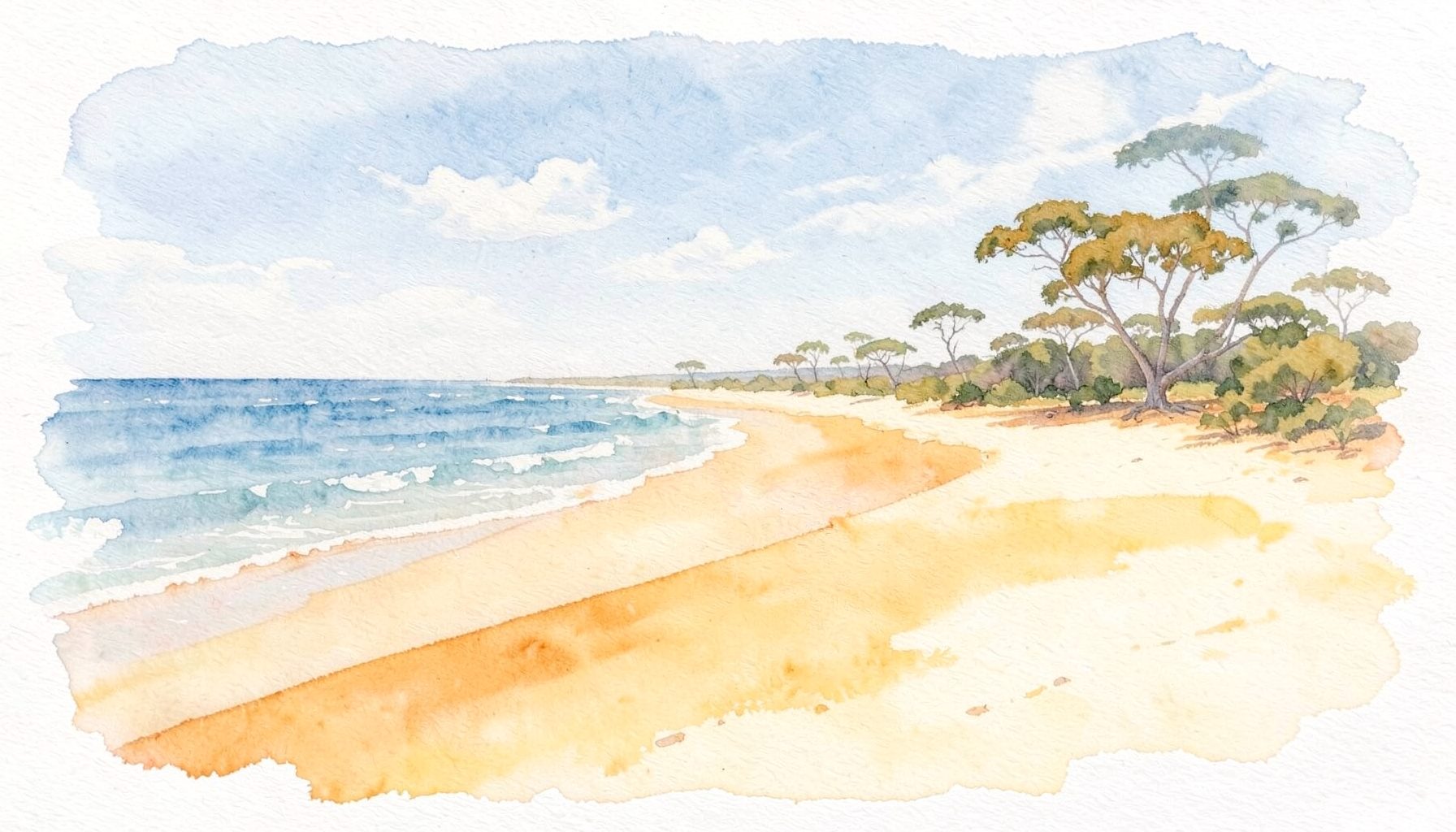 Soft watercolour of a long curving coastline with gentle surf, pale golden sand, and scattered casuarina trees under a soft blue sky with wispy clouds